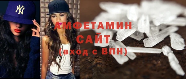 ECSTASY Алзамай