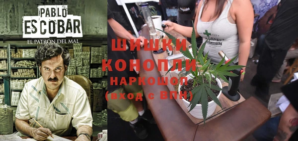 ECSTASY Алзамай