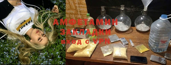ECSTASY Алзамай