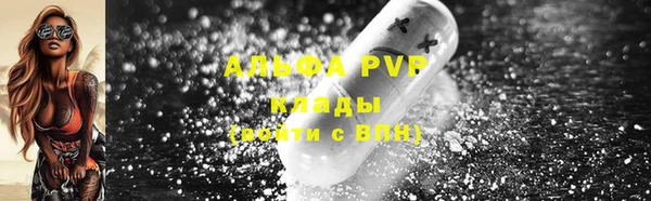 ECSTASY Алзамай