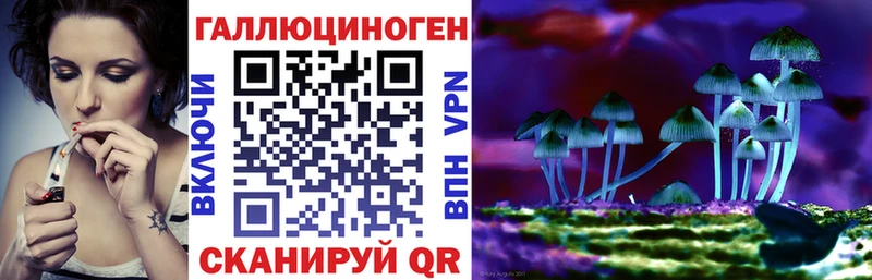 Псилоцибиновые грибы Psilocybe  Сорочинск 